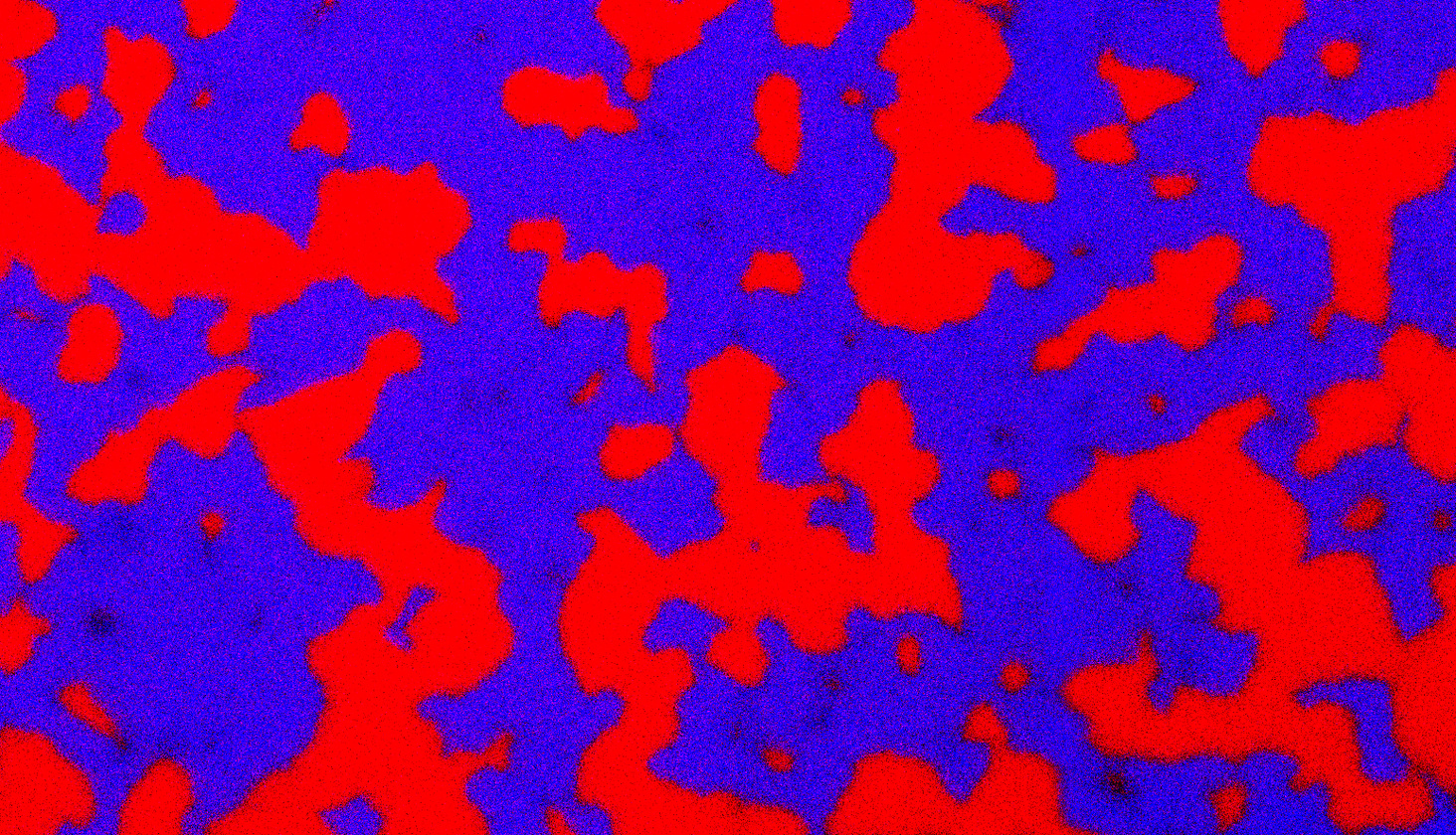 Where warfare breeds benevolence